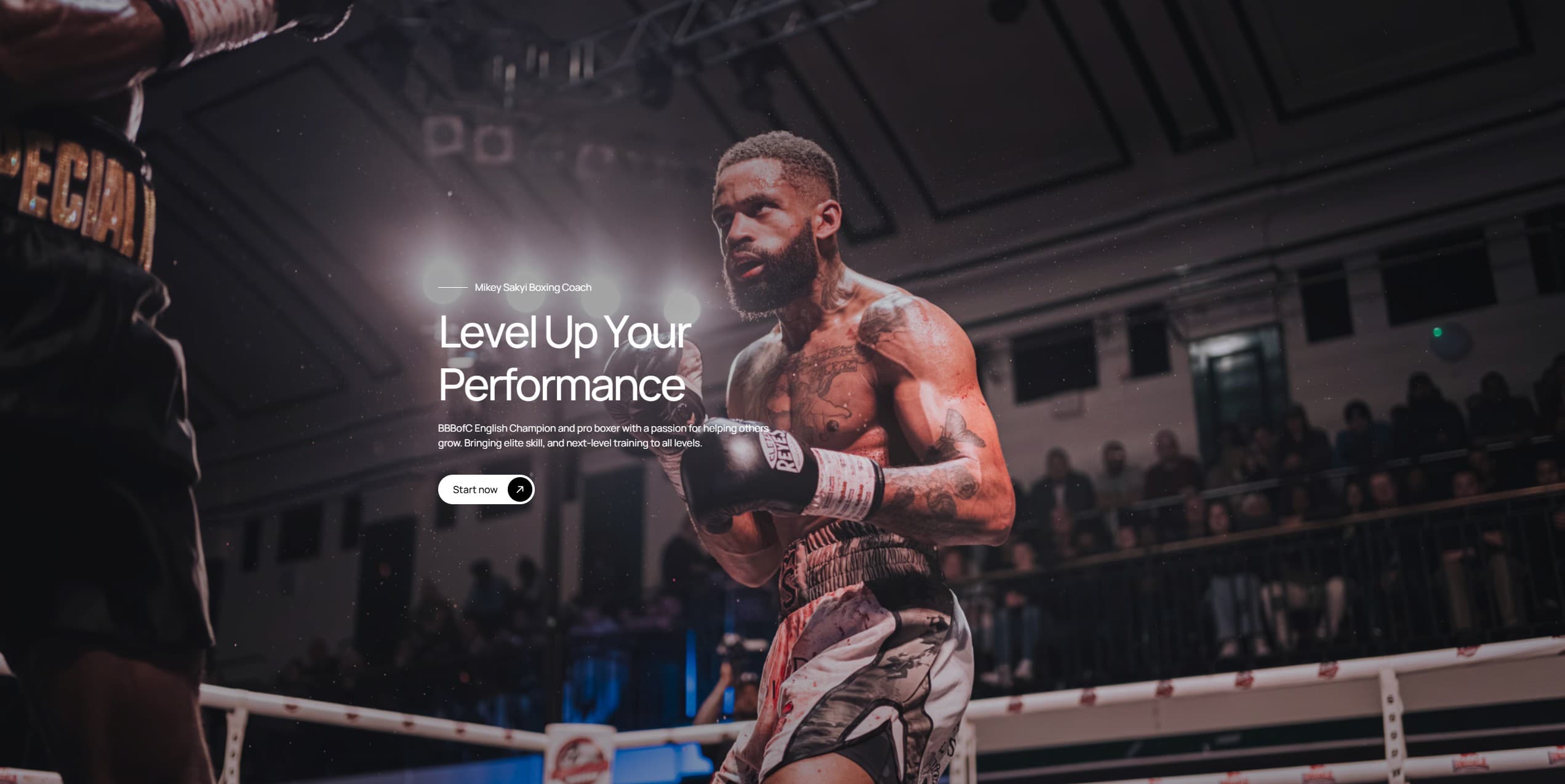 Mikey Sayki website preview